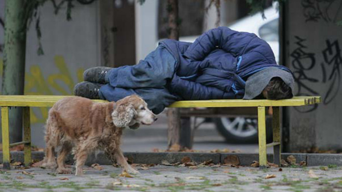 Настаняват бездомните във Варна в приюта само ако нямат симптоми на COVID-19